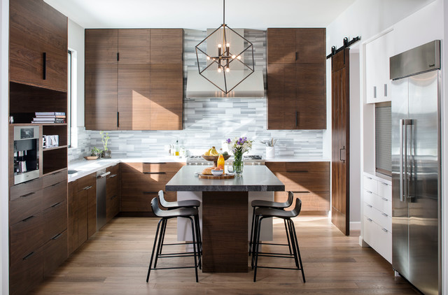 slab doors on frameless cabinets