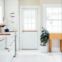 green potted leaf plant beside white wooden door