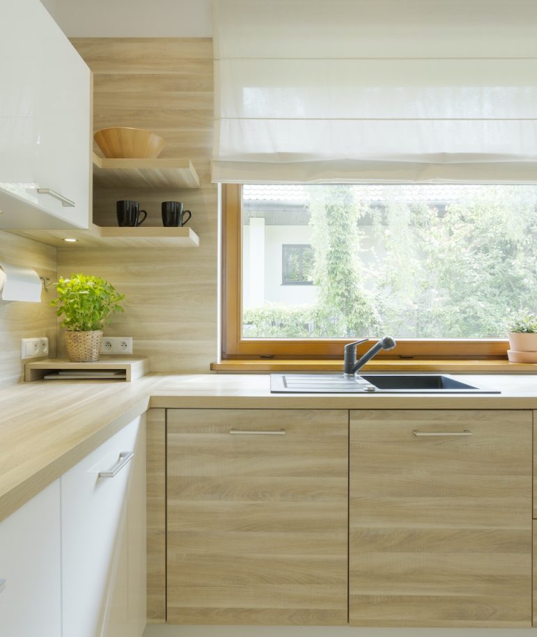 Modern kitchen with wooden cabinets