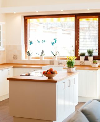 Modern white kitchen equipped with appliances