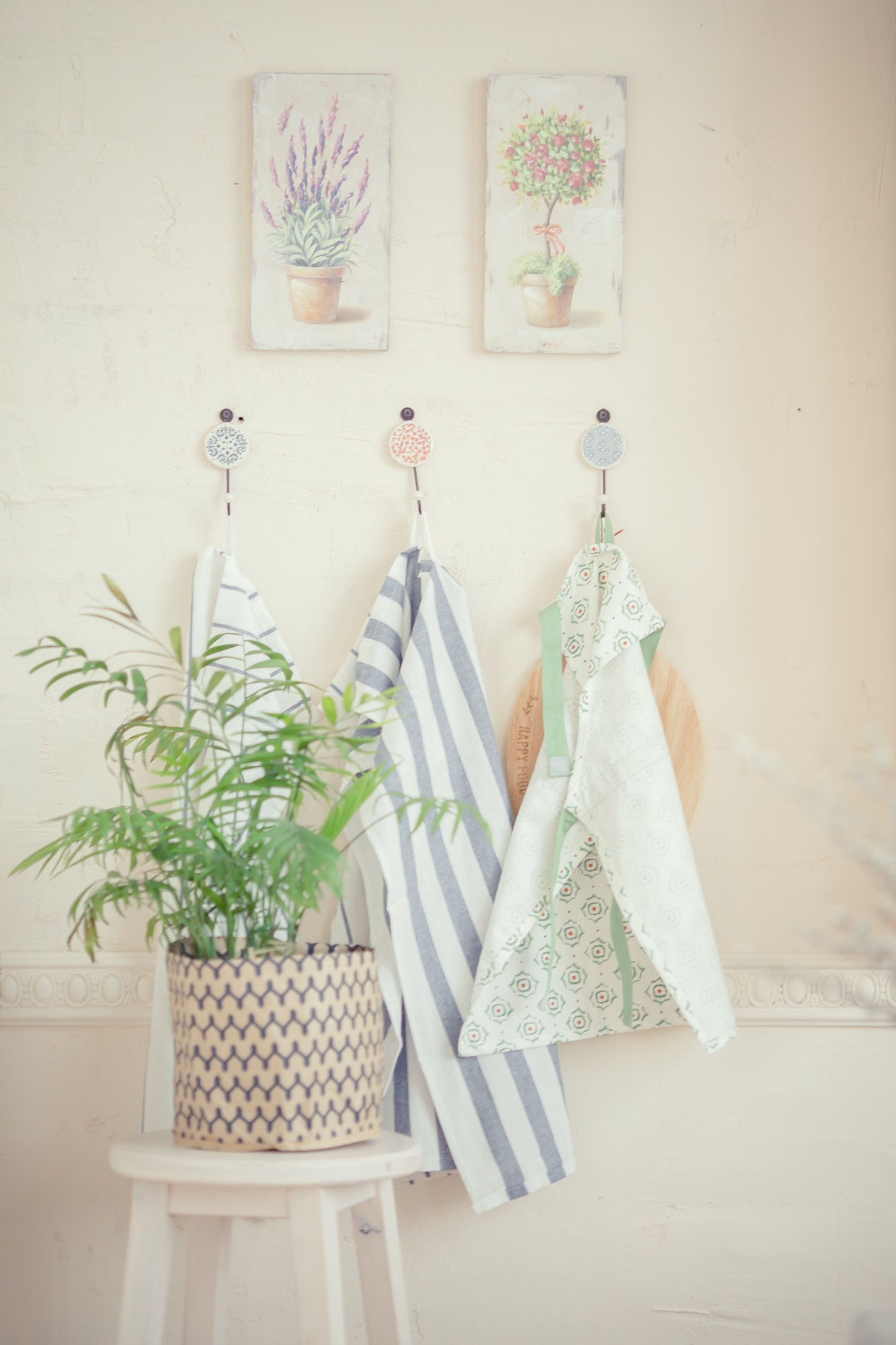Kitchen towels hang on hooks on the wall, next to a green plant